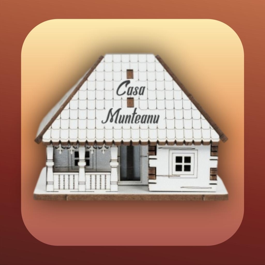 Casute Lemn 3D Personalizabile